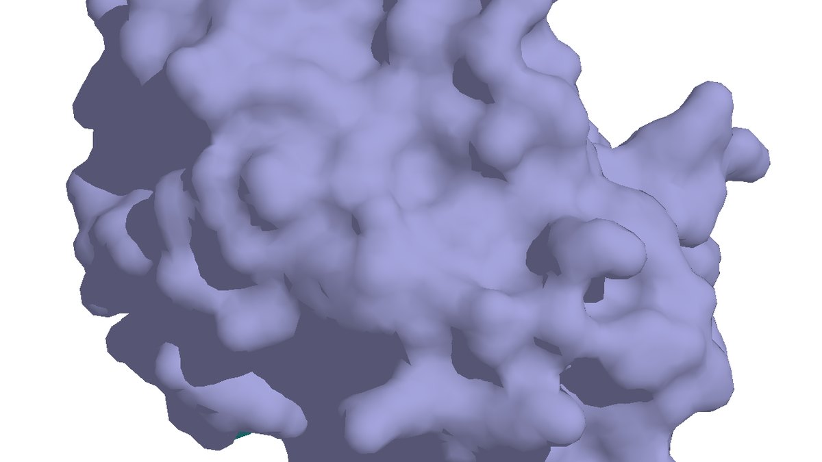 Molecular surface model illustrating the anti-USAG-1 antibody (TRG-035) theme &mdash; a neutralising antibody that takes USAG-1 out of the tissue and releases the BMP brake &mdash; Panacea Bio Chem, Bogdan Dicoias